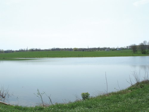 Property photo 8 - 188 Acres Offered in 5 Tracts